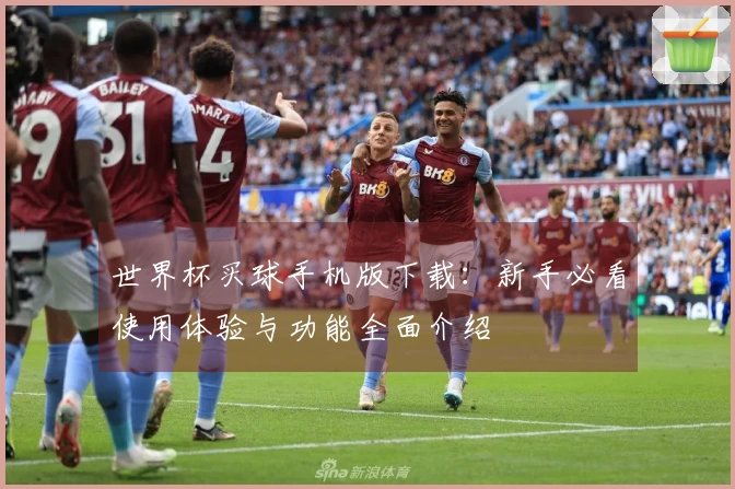 世界杯买球手机版下载:新手必看使用体验与功能全面介绍