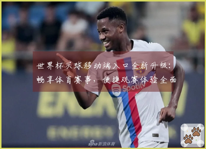 世界杯买球移动端入口全新升级：畅享体育赛事，便捷观赛体验全面优化