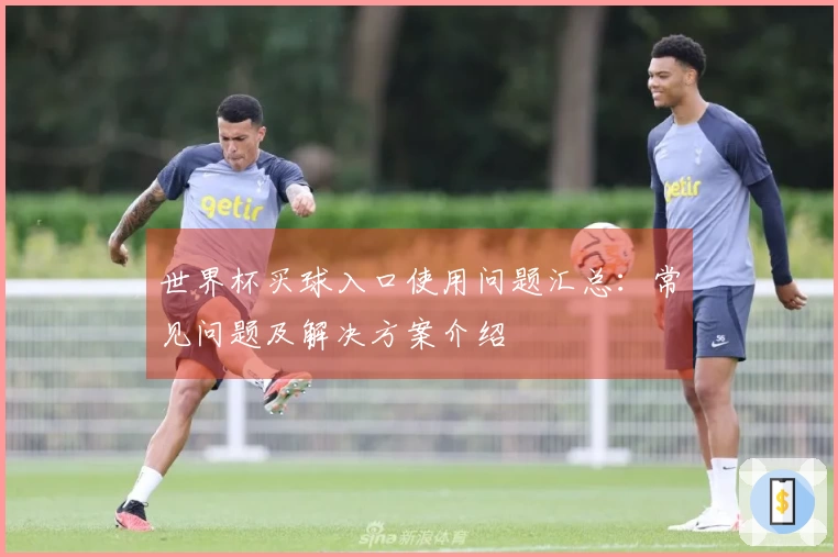 世界杯买球入口使用问题汇总：常见问题及解决方案介绍