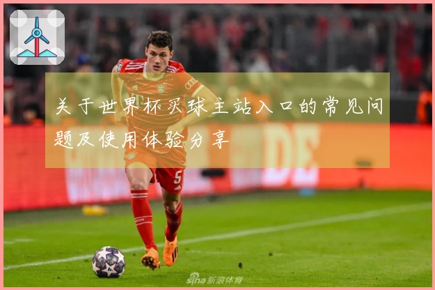 关于世界杯买球主站入口的常见问题及使用体验分享