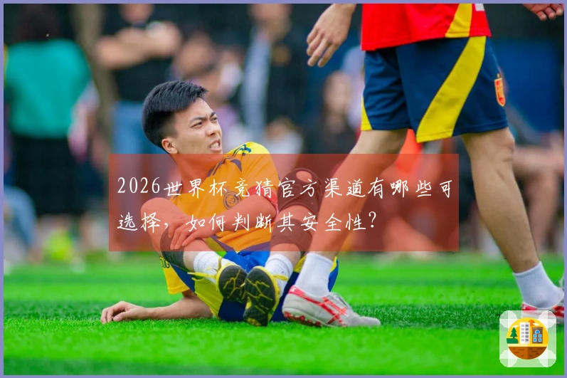 2026世界杯竞猜官方渠道有哪些可选择，如何判断其安全性？