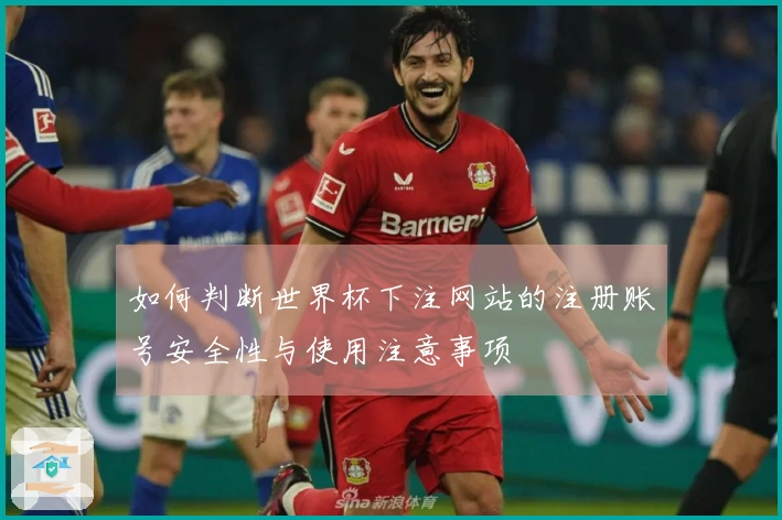 如何判断世界杯下注网站的注册账号安全性与使用注意事项