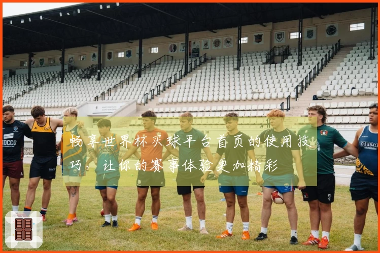 畅享世界杯买球平台首页的使用技巧，让你的赛事体验更加精彩