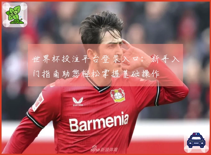 世界杯投注平台登录入口：新手入门指南助您轻松掌握基础操作