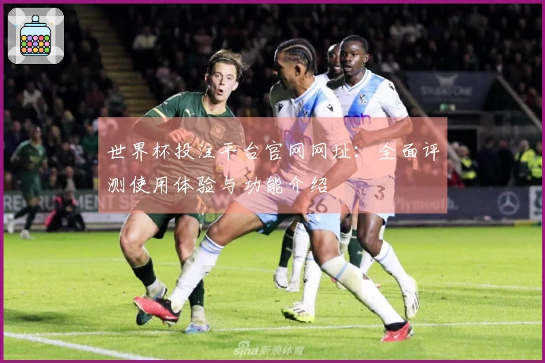 世界杯投注平台官网网址：全面评测使用体验与功能介绍